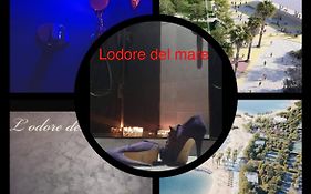 Lodore Del Mare Apartment On The Beach